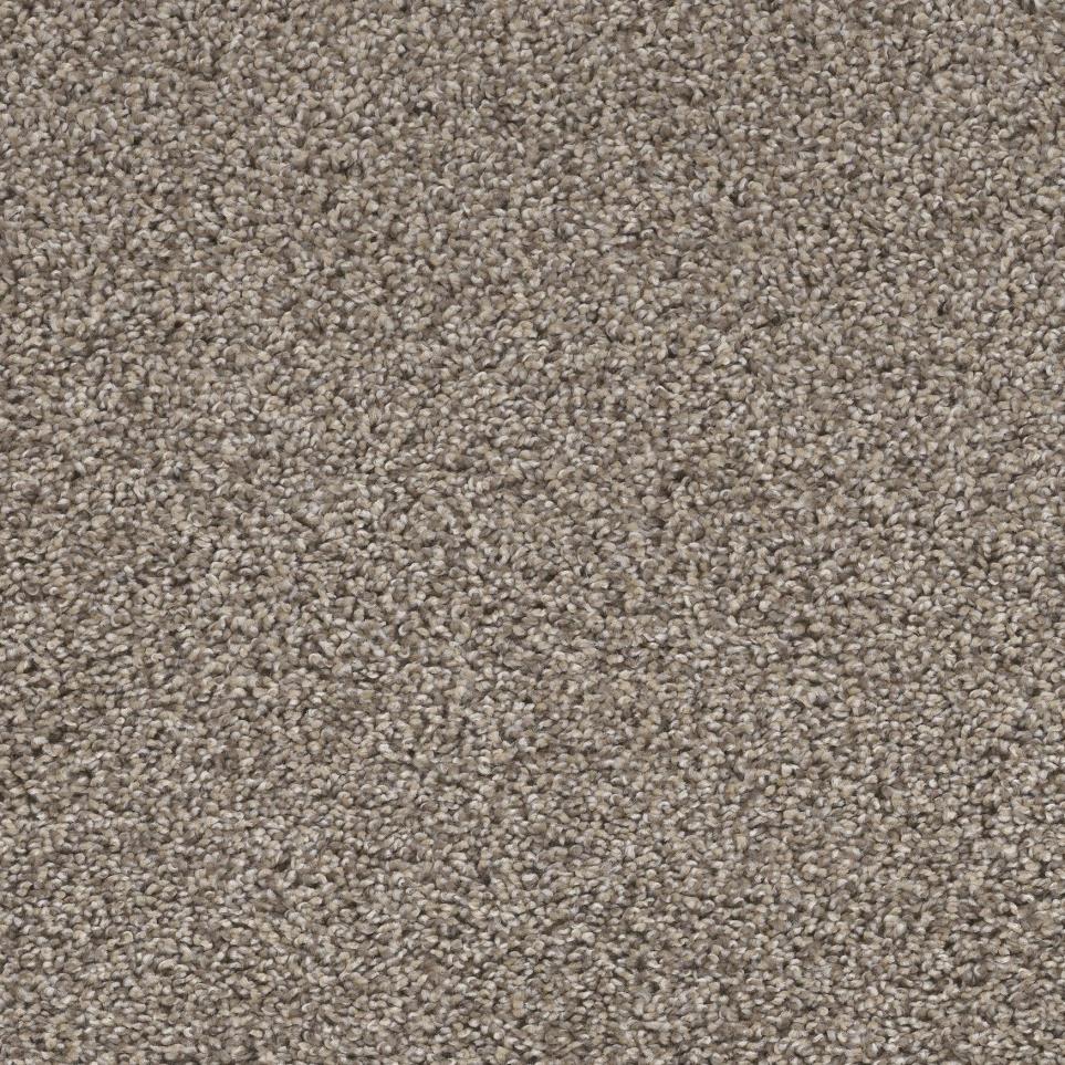 brow grey colored carpet